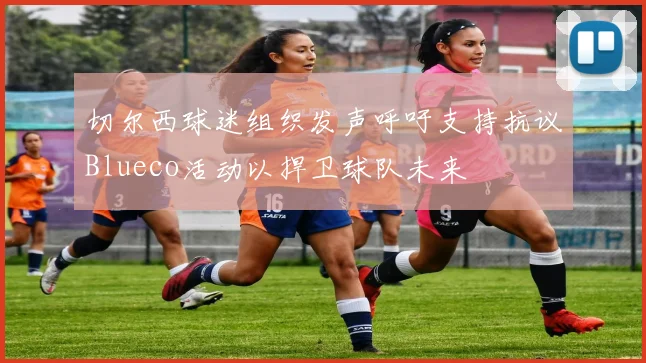 切尔西球迷组织发声呼吁支持抗议Blueco活动以捍卫球队未来